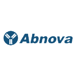 DTNB-Thiols Assay Kit