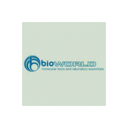 TBS Buffer Low Salt for Western Blot Washing 10X