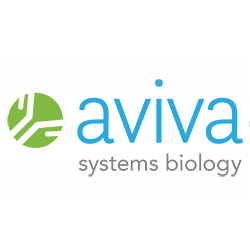 Avil Peptide - N-terminal region