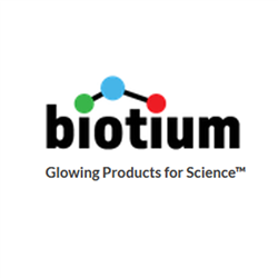 IgG (Immunoglobulin Gamma Heavy Chain) (B-Cell Marker) (IG507R),  Biotin conjugate, 0.1mg/mL