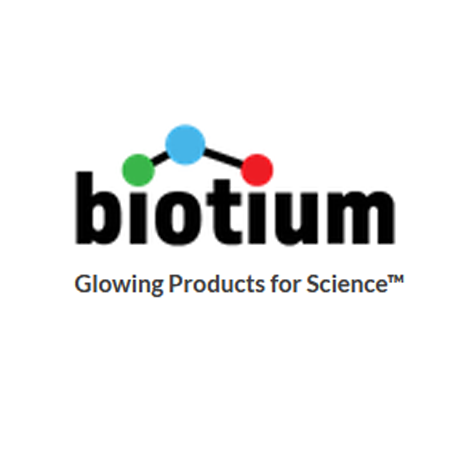 IgG (Immunoglobulin Gamma Heavy Chain) (B-Cell Marker) (IG1707R), Biotin conjugate, 0.1mg/mL