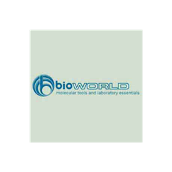 bioPLUS&trade; Gel DNA Cleanup Kit