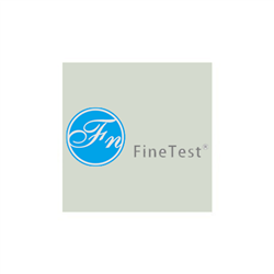 Recombinant Human EIF5A